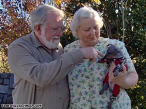 Picture of Michael and Bonnie Turner and one of 
their American Hairless Terriers
