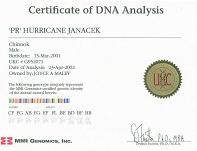 Hurricane Janacek's DNA certificate