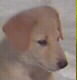 Keeper head shot