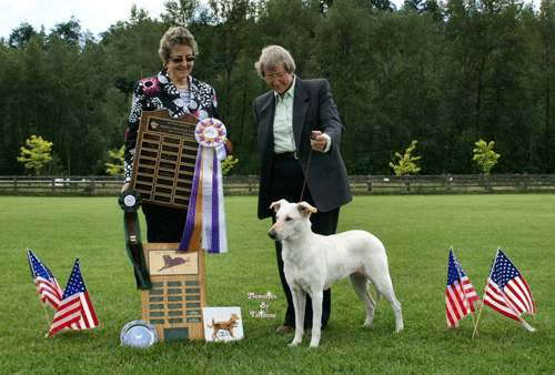 light honey colored Chinook standing in front of two 
people, who are holding awards