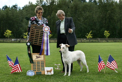 light honey colored Chinook in front of two people, who
are holding the awards Katrina won in the Specialty