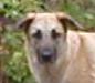 head shot of BrownStone Parkler